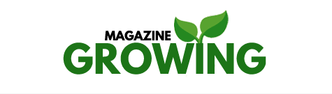 Elevate Your Bathroom: Exploring Durable Glass Shower Enclosures in Australia with ASW Company